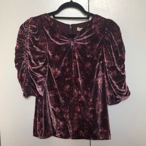 Short Sleeve Velvet Top